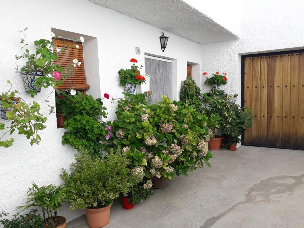 布比翁Casa La Huerta公寓 外观 照片